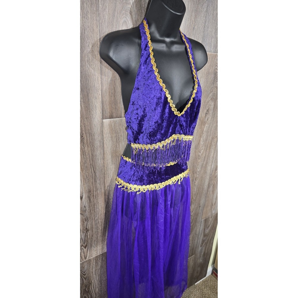 Belly Dancer Costume Women's S/M Purple Velvet Gold Trim Fringe Halter Bollywood